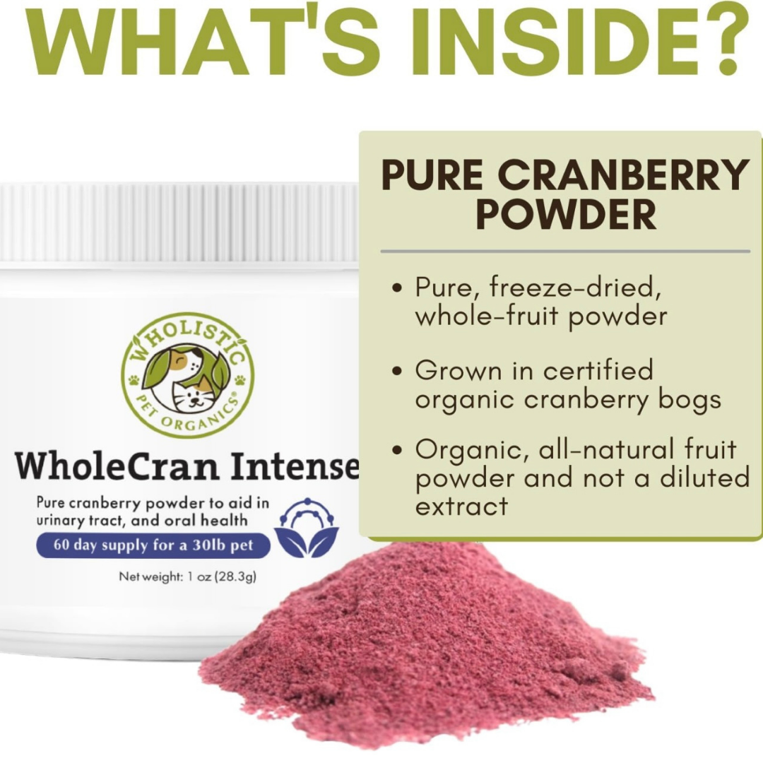 Wholistic Pet Organics WholeCran Intense | Natural Urinary Tract + Kidney Support