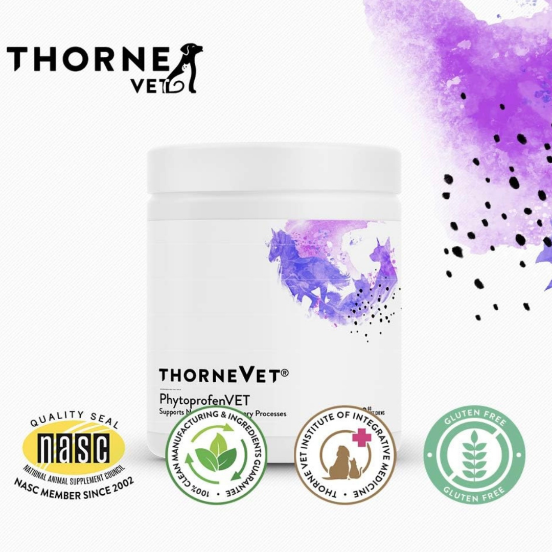 ThorneVet Phytoprofen Chews | Natural Pain & Inflammation Relief