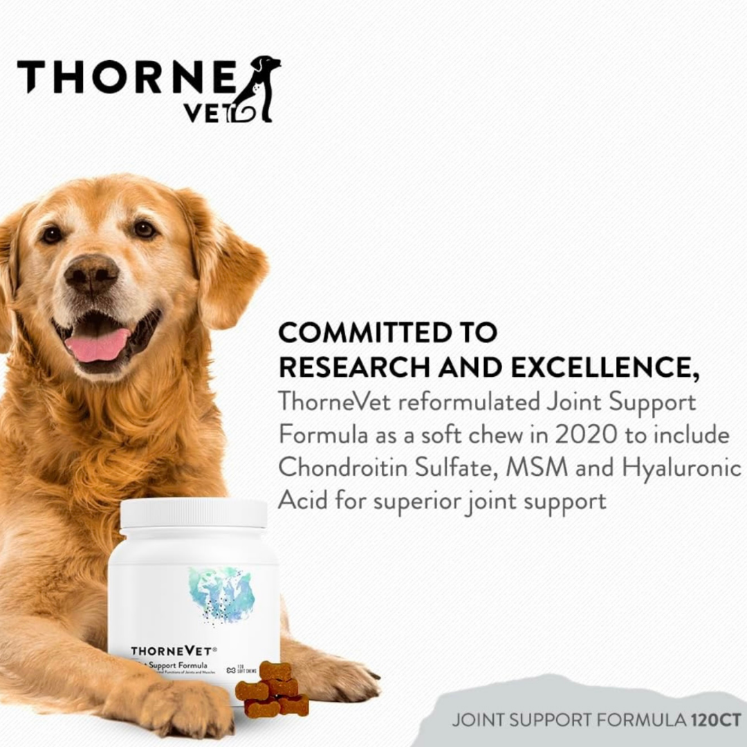 ThorneVet Joint Support | Advanced Mobility Support + Natural Anti-Inflammatories
