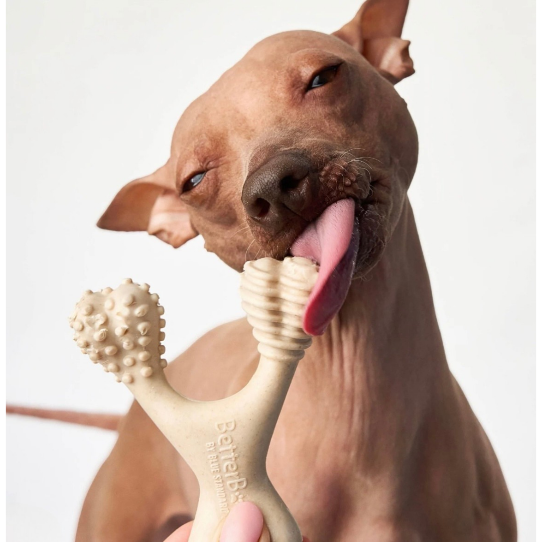 BetterBone Natural Dog Chew | Medium
