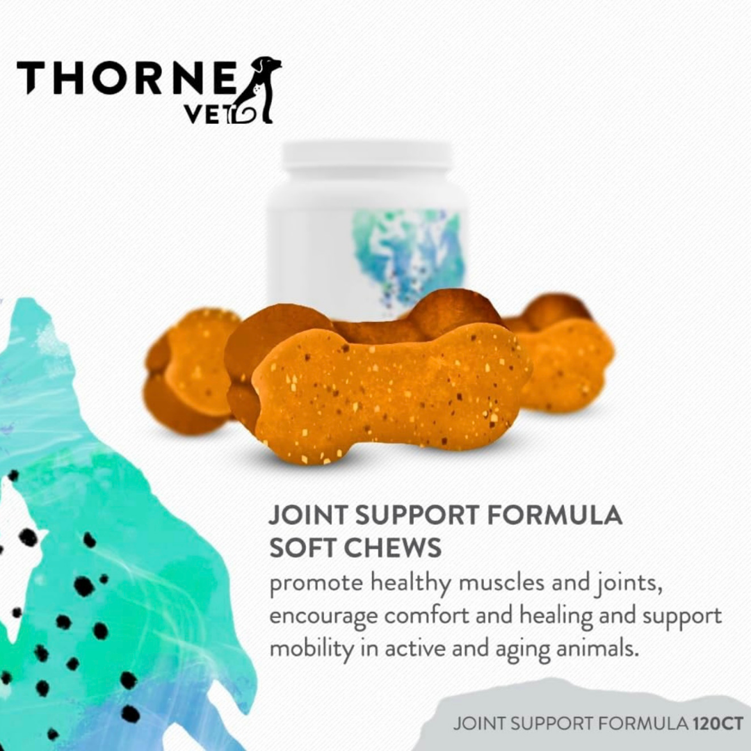 ThorneVet Joint Support | Advanced Mobility Support + Natural Anti-Inflammatories