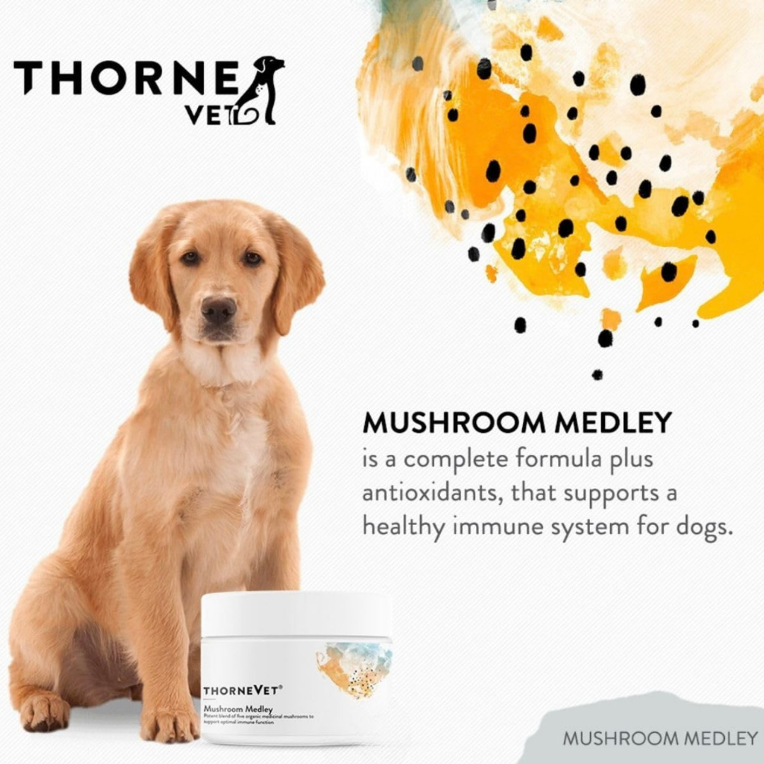 ThorneVet Mushroom Medley | Immune Supporting Mushroom Complex