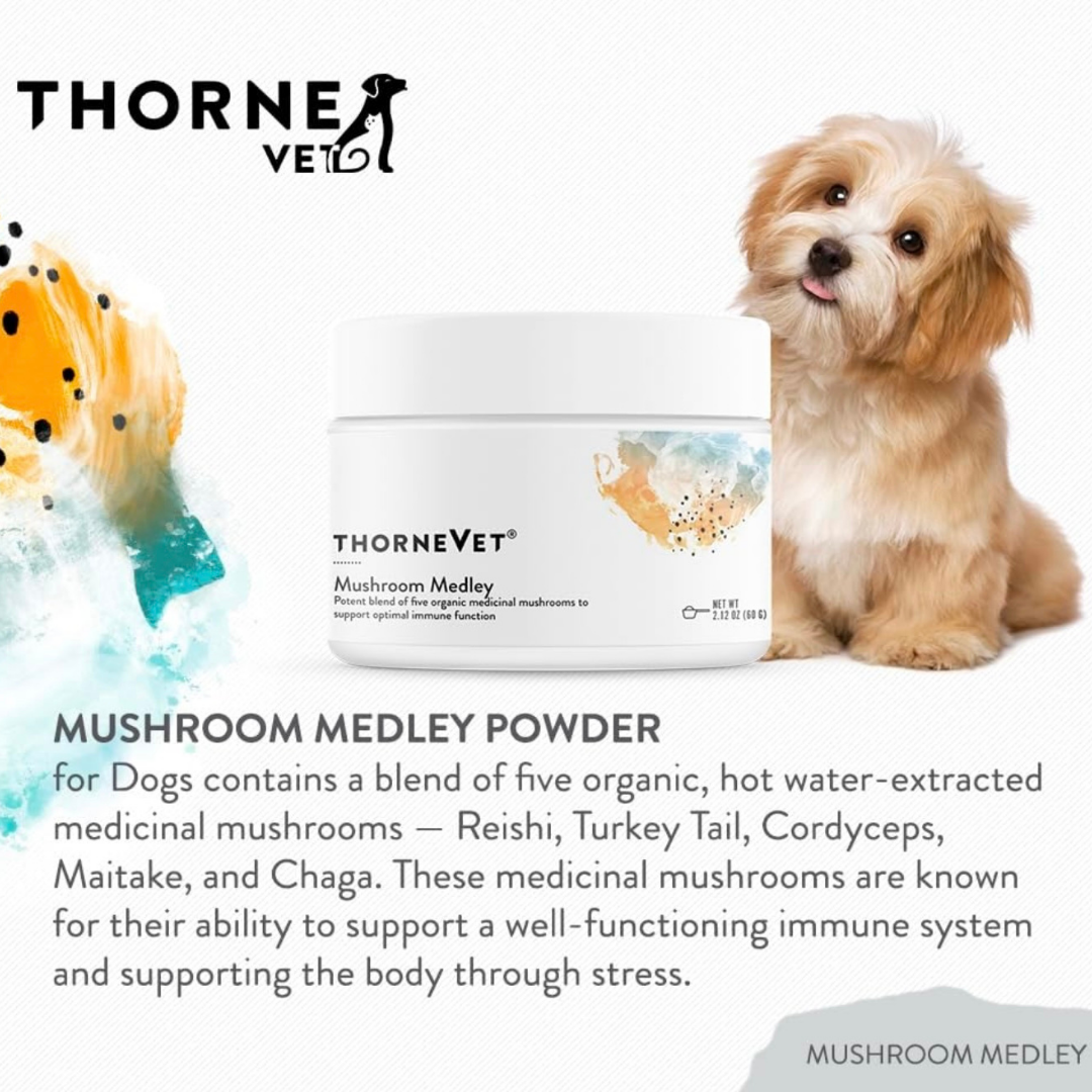 ThorneVet Mushroom Medley | Immune Supporting Mushroom Complex