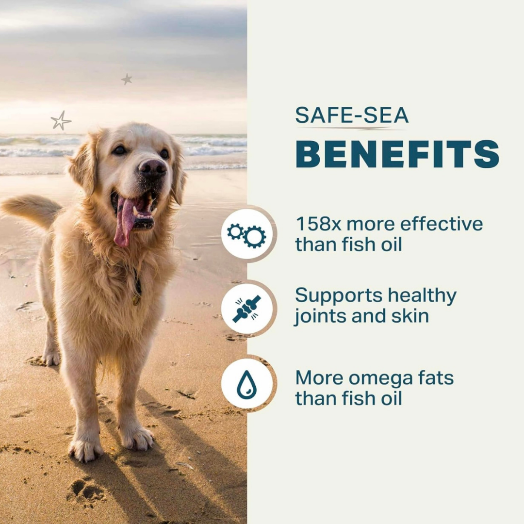 Four Leaf Rover Safe-Sea | Green Lipped Mussel Oil for Joint + Skin Health