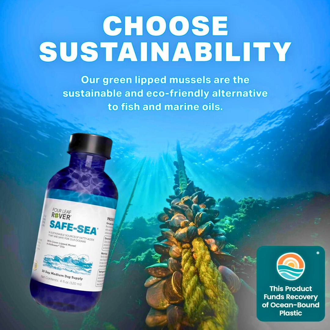 Four Leaf Rover Safe-Sea | Green Lipped Mussel Oil for Joint + Skin Health