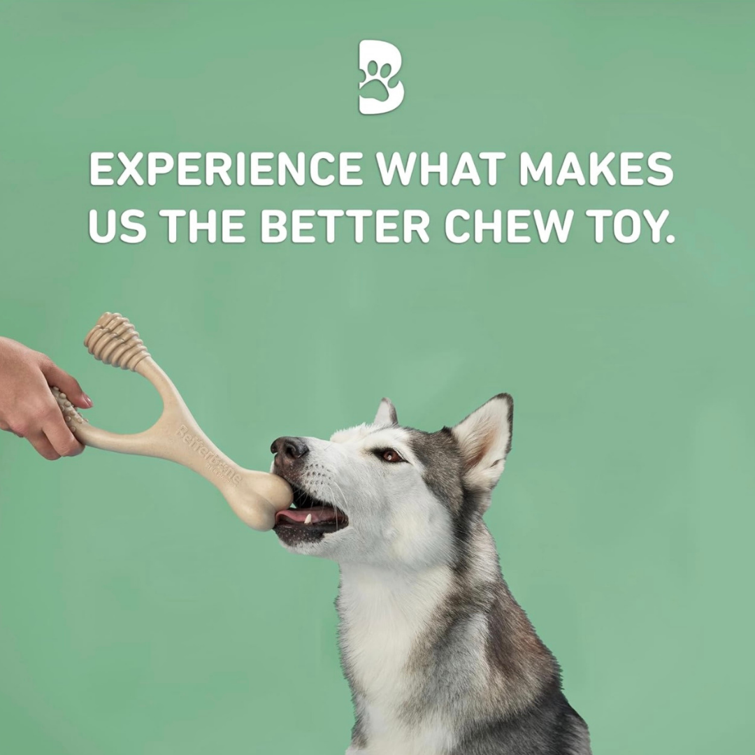 BetterBone Natural Dog Chew | Medium