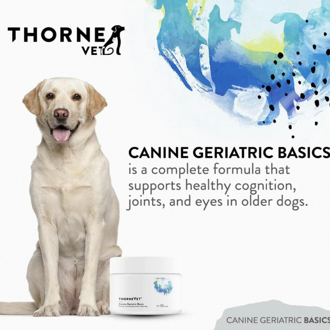 ThorneVet Canine Geriatric Basics | Comprehensive Senior Dog Support for Aging Health