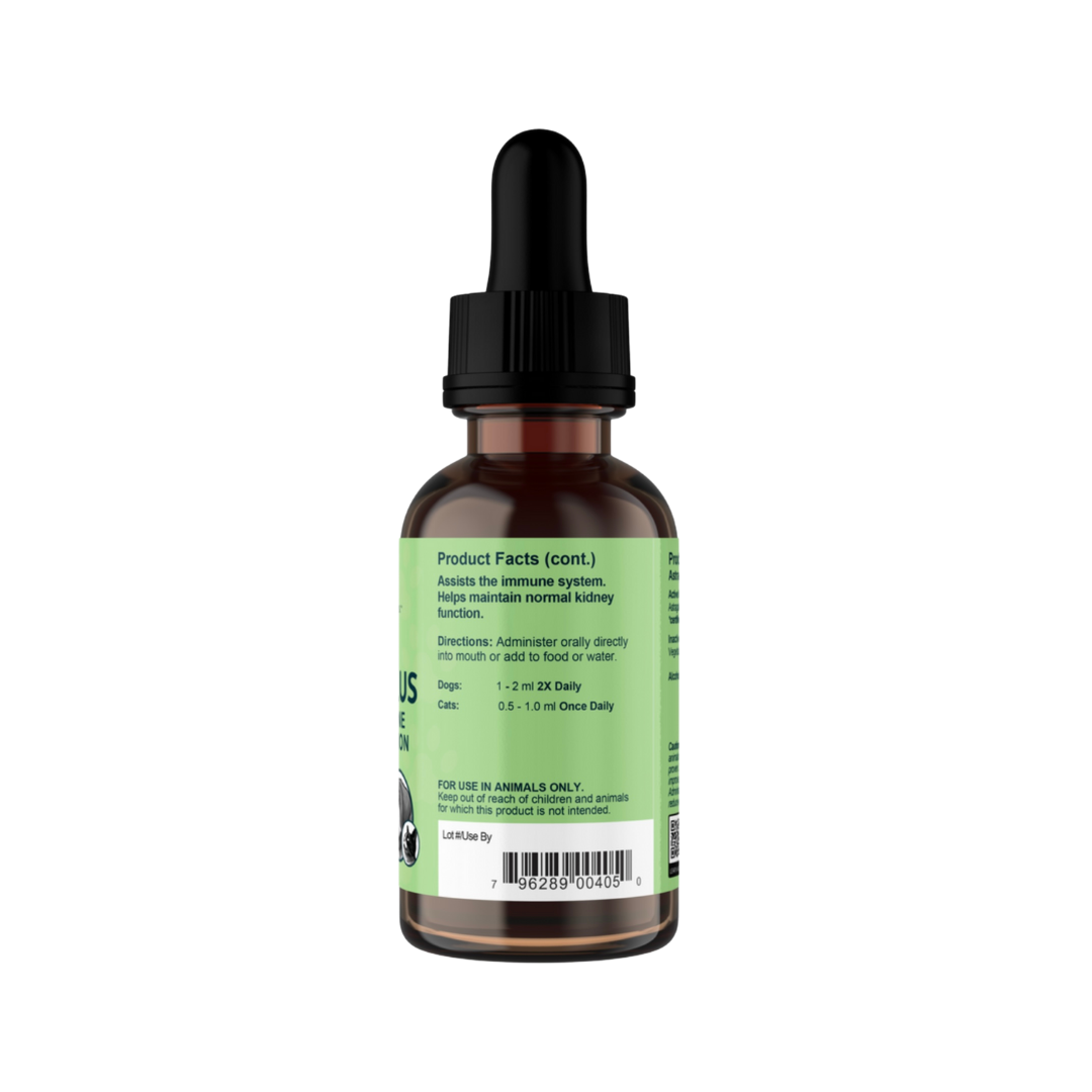 Animal Essentials Astragalus | Immune Support + Kidney Function