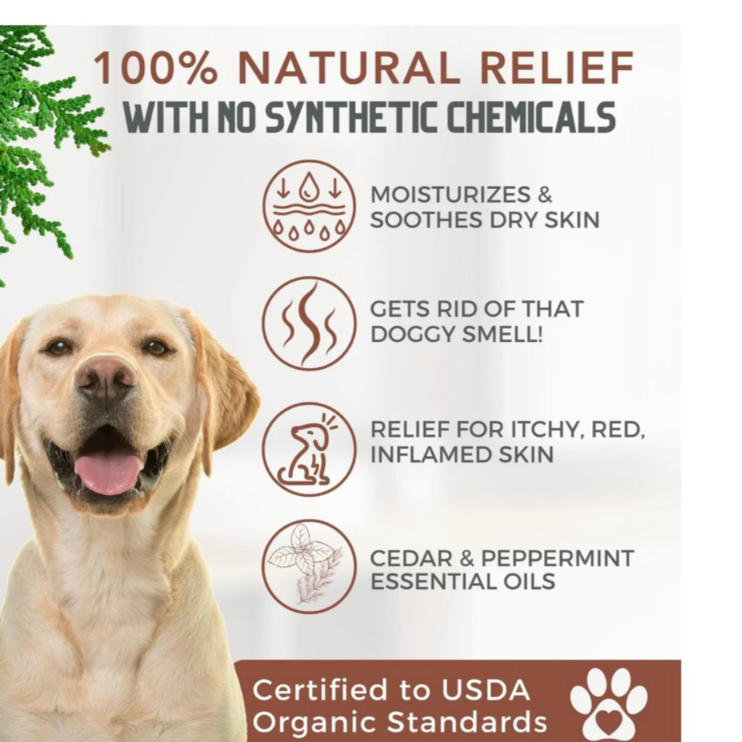 4-Legger Organic Conditioning Shampoo | Cedar + Peppermint + Eucalyptus