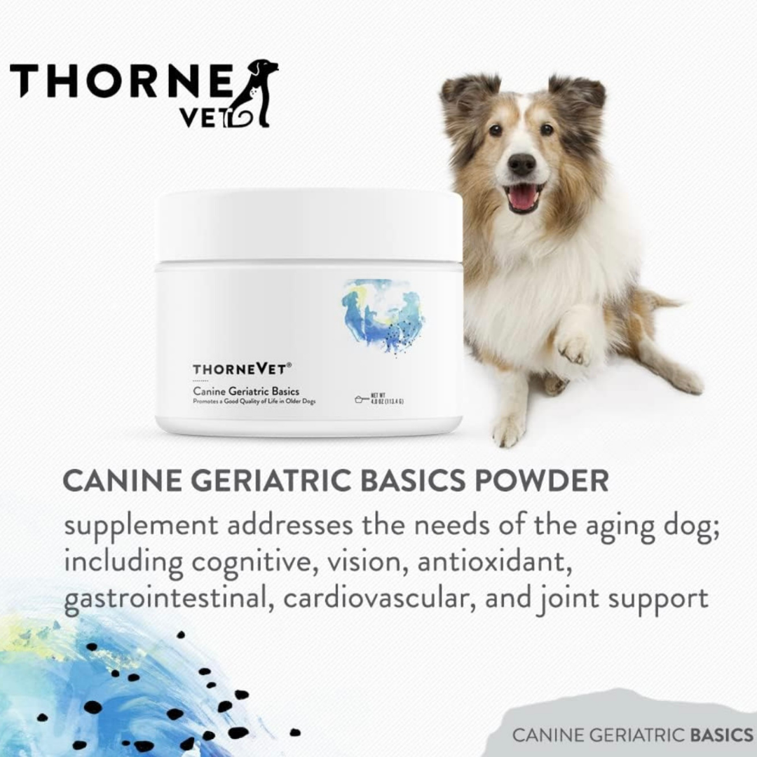 ThorneVet Canine Geriatric Basics | Comprehensive Senior Dog Support for Aging Health