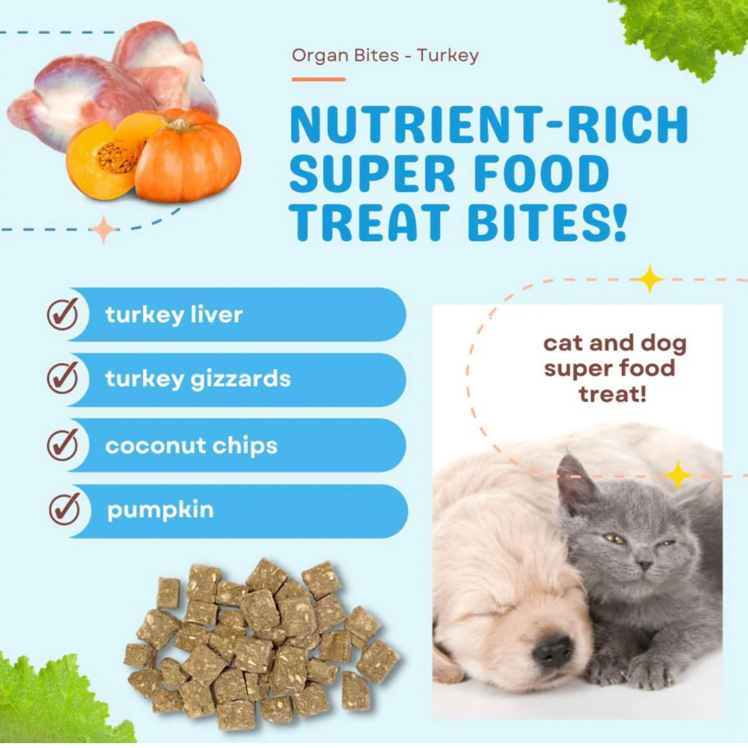 Cocotherapy Organ Treats | Turkey + Pumpkin