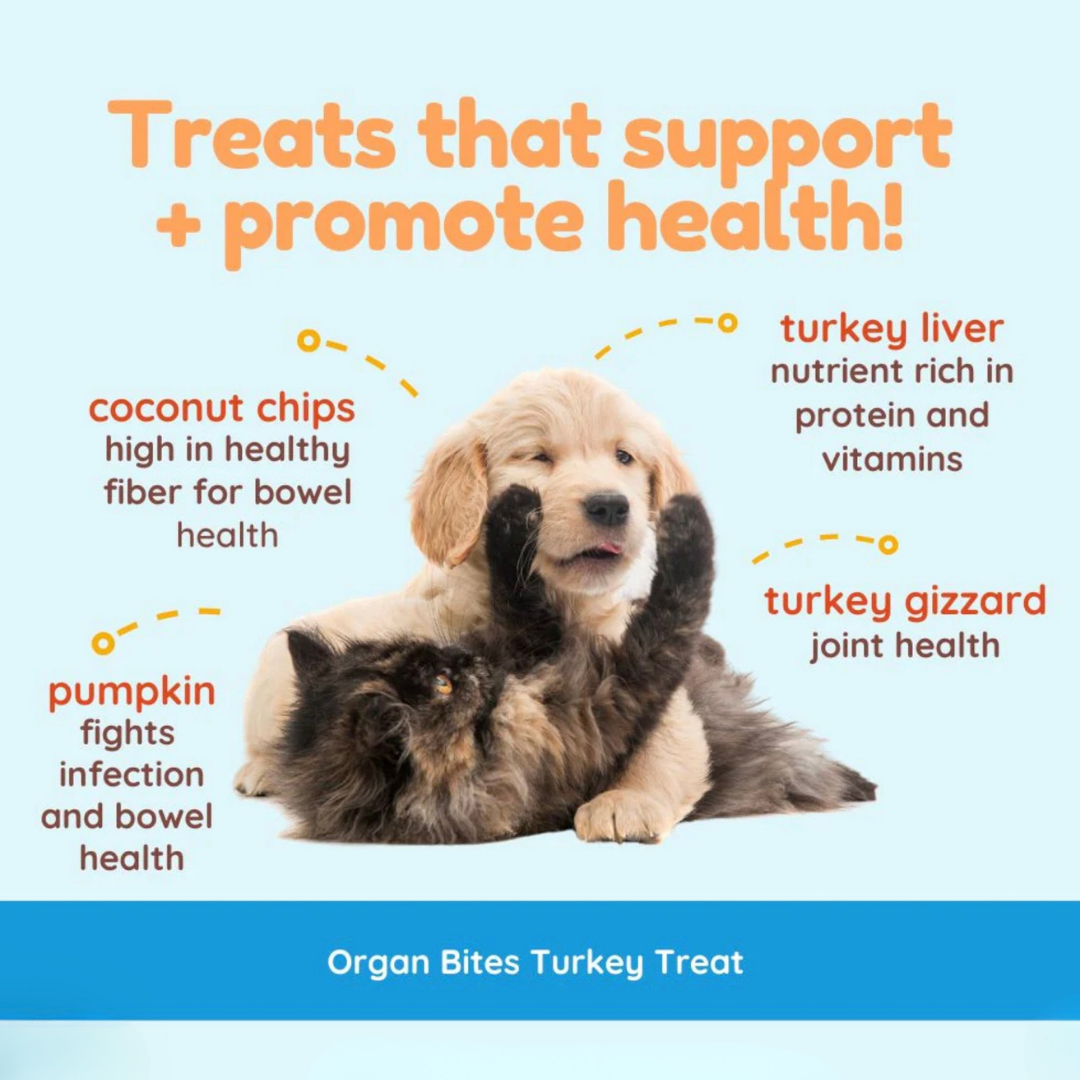 Cocotherapy Organ Treats | Turkey + Pumpkin