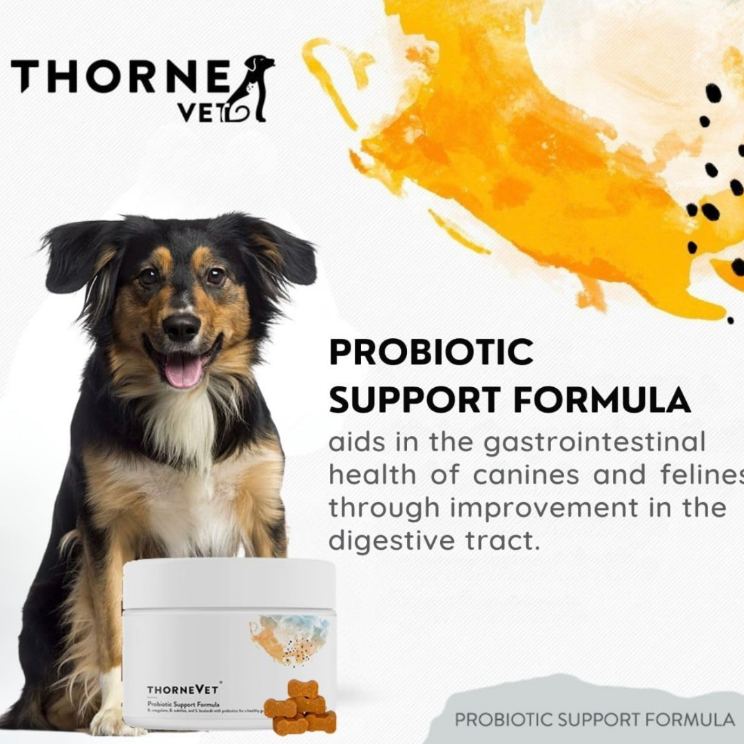 ThorneVet Probiotic Support | Soil-Based Probiotics + Sacc B + Prebiotics for Digestive Health