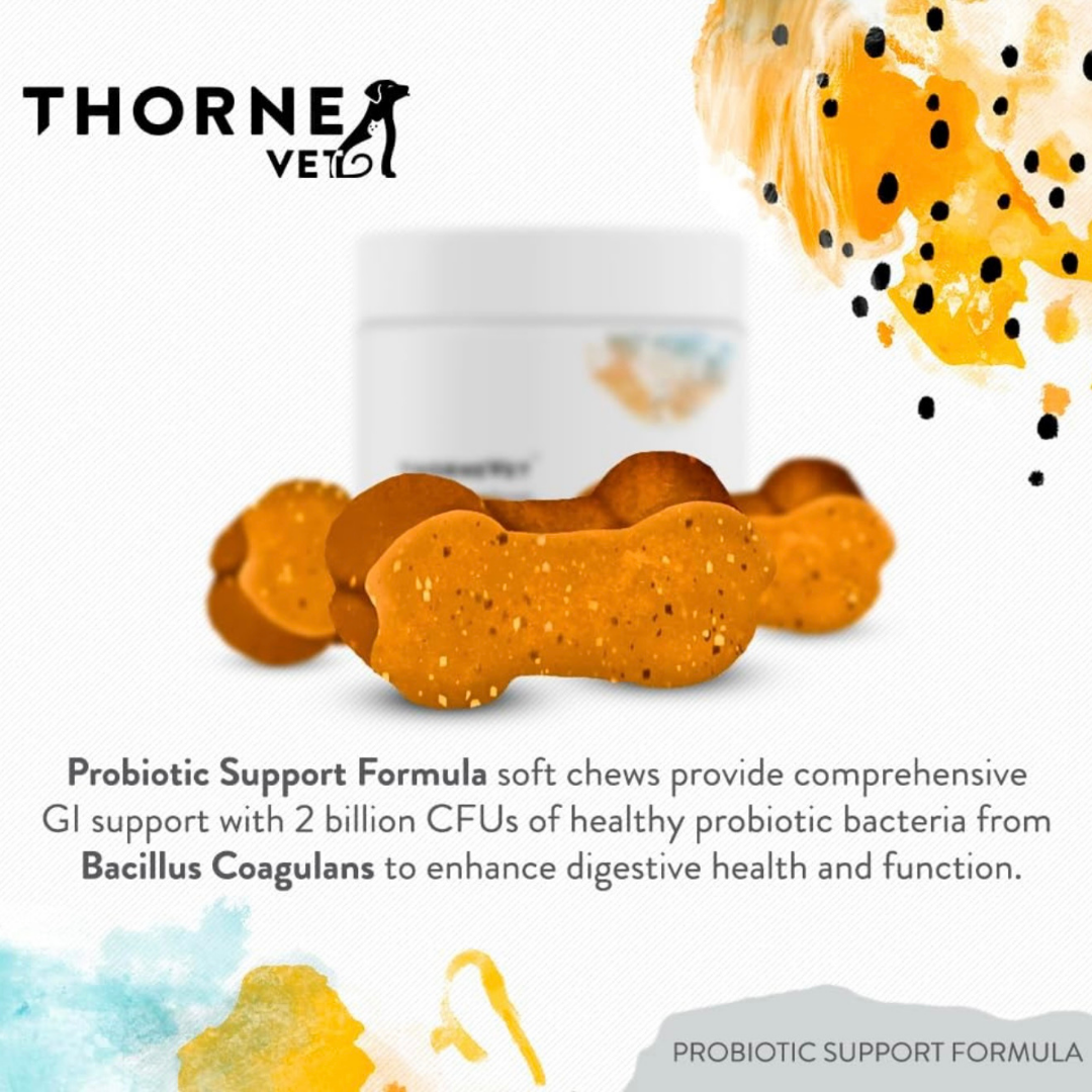ThorneVet Probiotic Support | Soil-Based Probiotics + Sacc B + Prebiotics for Digestive Health