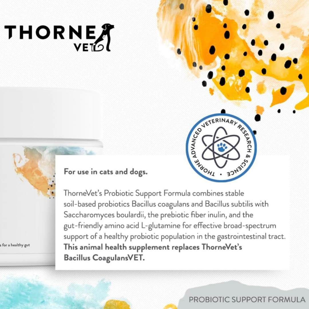 ThorneVet Probiotic Support | Soil-Based Probiotics + Sacc B + Prebiotics for Digestive Health