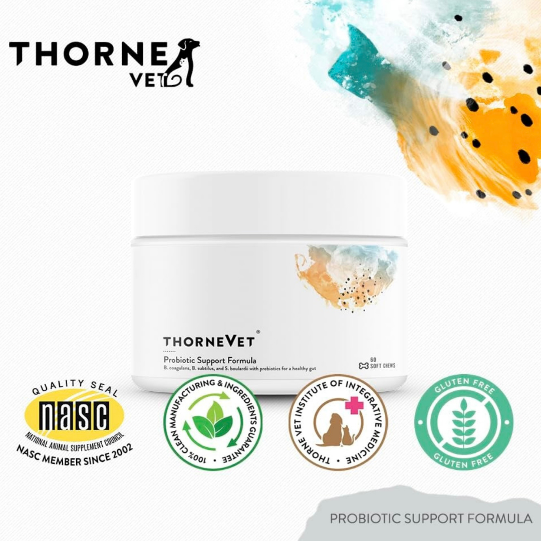 ThorneVet Probiotic Support | Soil-Based Probiotics + Sacc B + Prebiotics for Digestive Health
