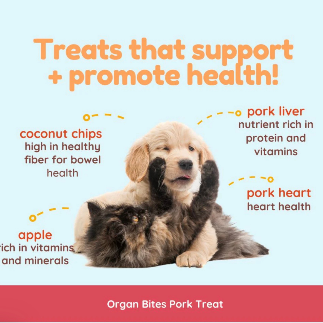 Cocotherapy Organ Treats | Pork + Apple