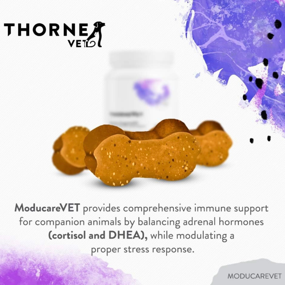 ThorneVet Moducare Chews | Immune + Allergy Support