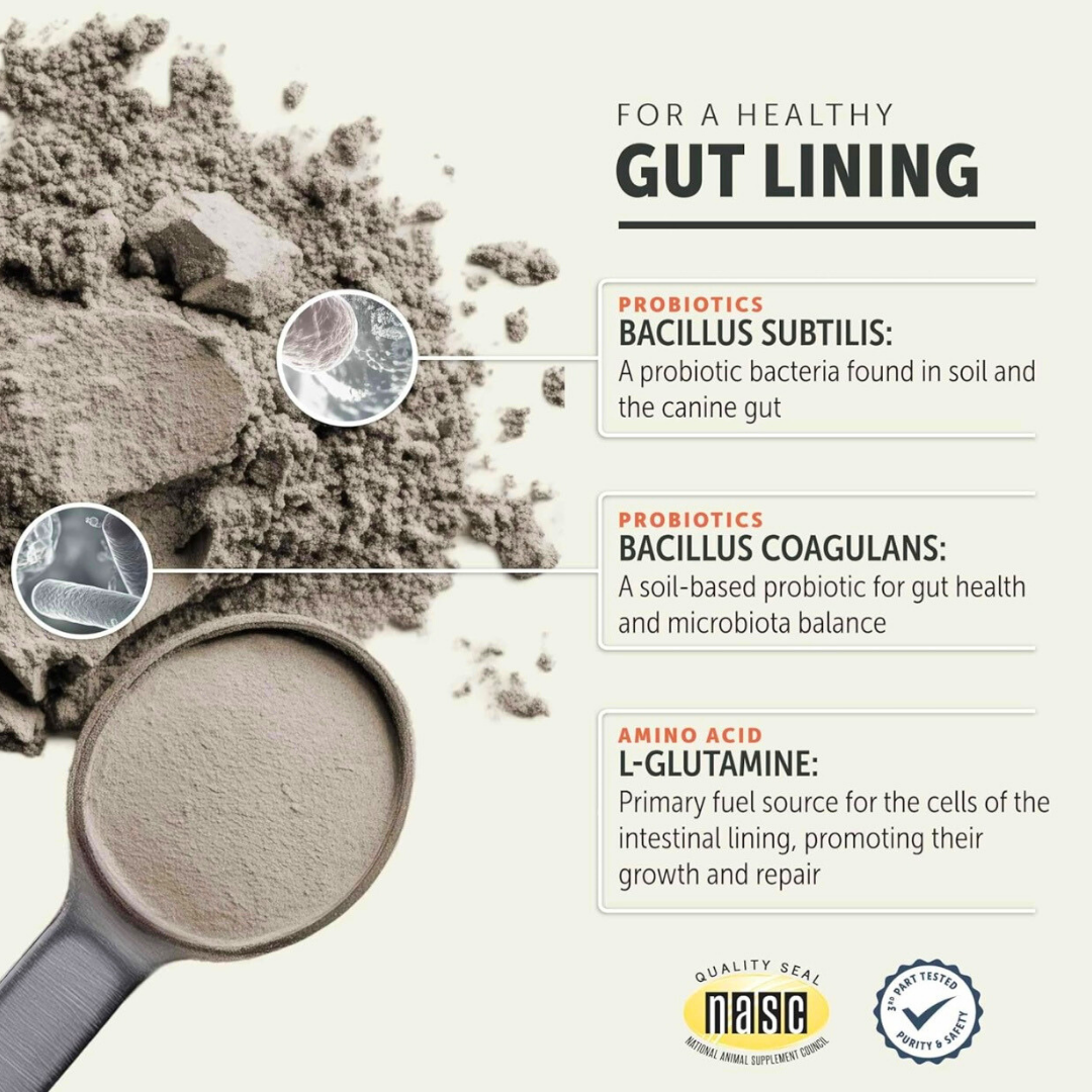 Four Leaf Rover Gut Guard | Natural Support for Irritated + Leaky Gut