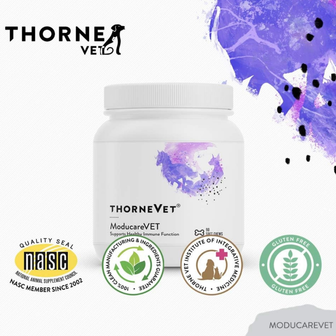 ThorneVet Moducare Chews | Immune + Allergy Support