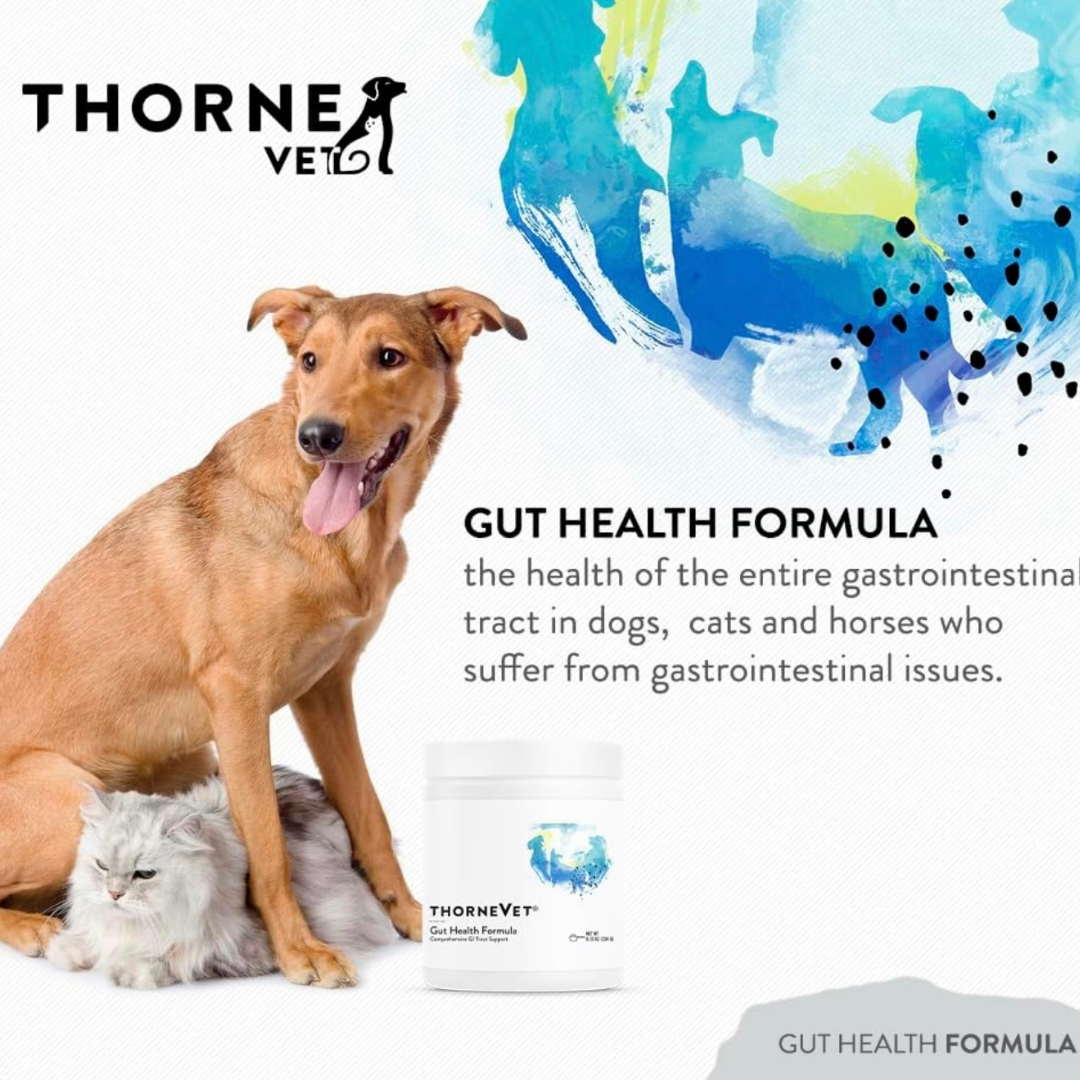 ThorneVet Gut Health | Comprehensive Digestive Support
