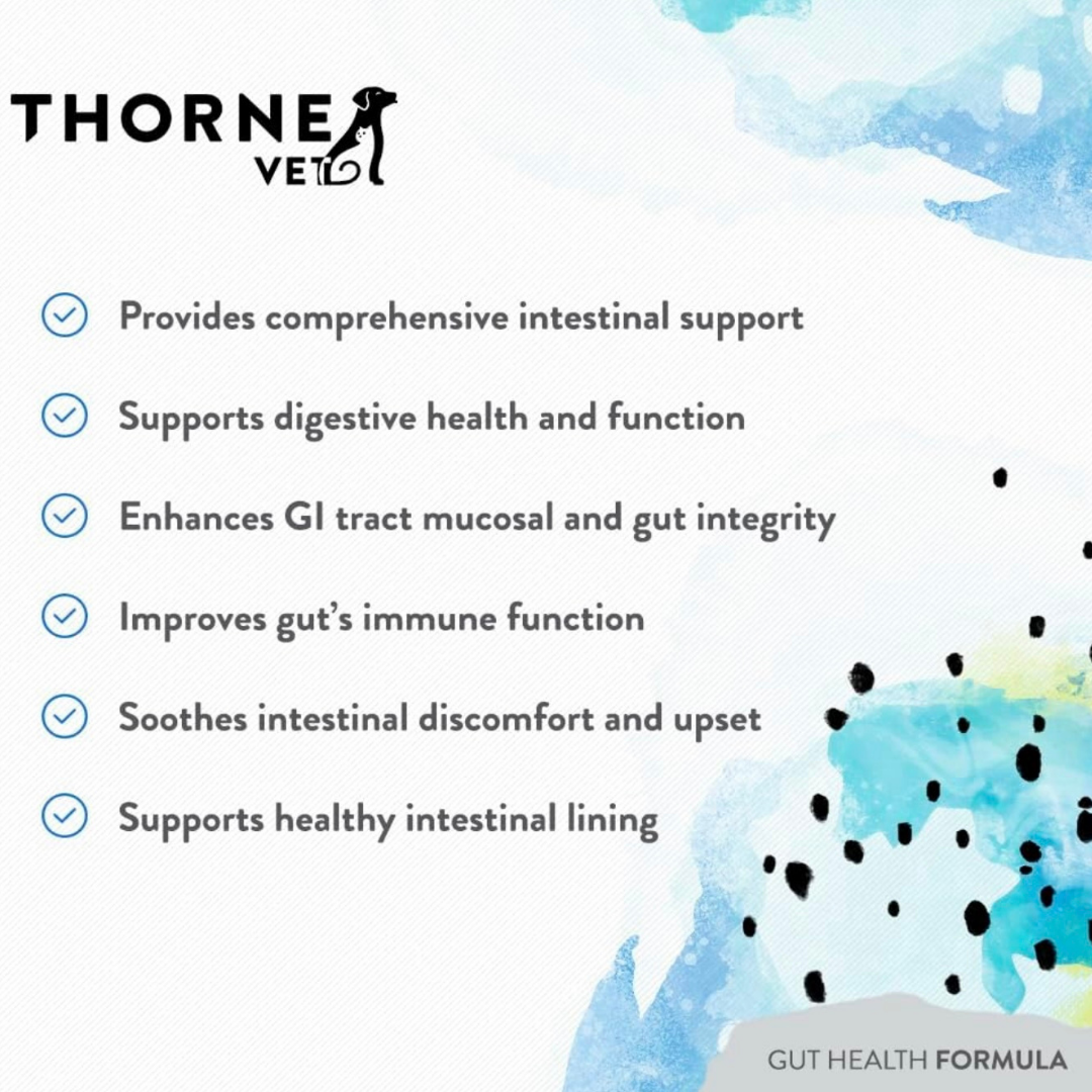 ThorneVet Gut Health | Comprehensive Digestive Support