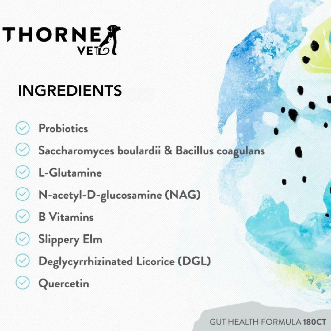 ThorneVet Gut Health | Comprehensive Digestive Support