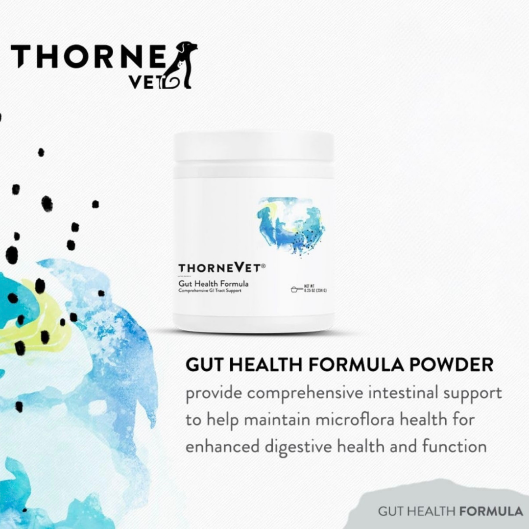 ThorneVet Gut Health | Comprehensive Digestive Support