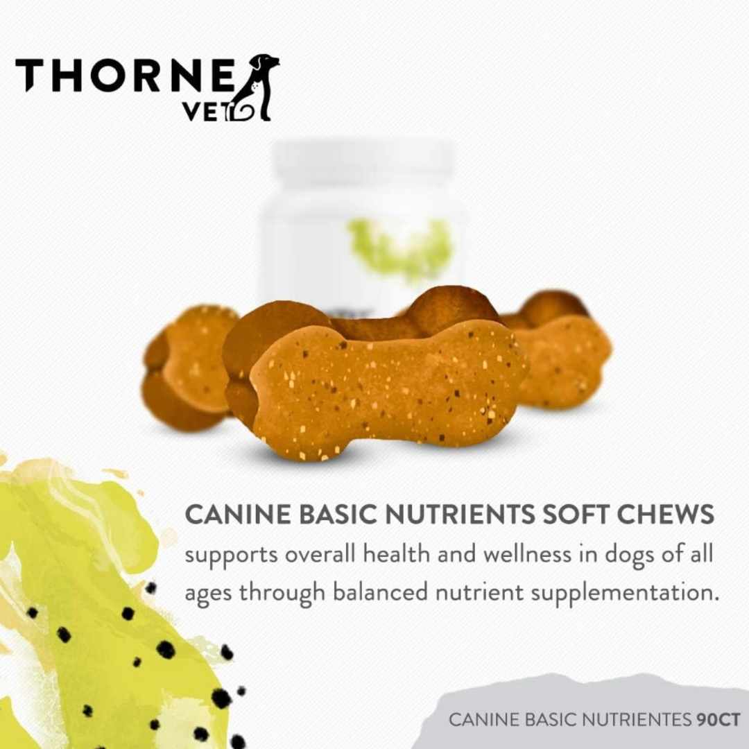ThorneVet Canine Basic Nutrients | Comprehensive Multivitamin