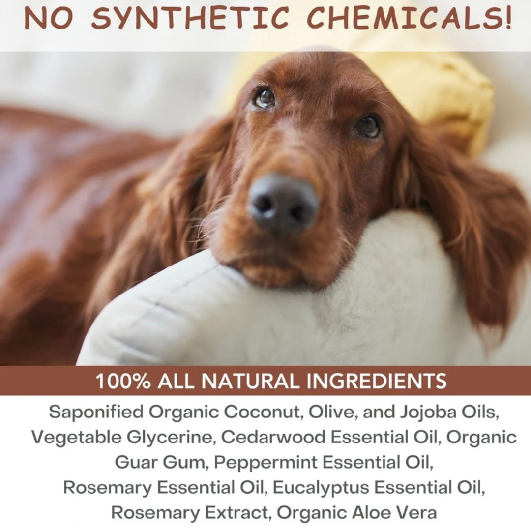 4-Legger Organic Conditioning Shampoo | Cedar + Peppermint + Eucalyptus