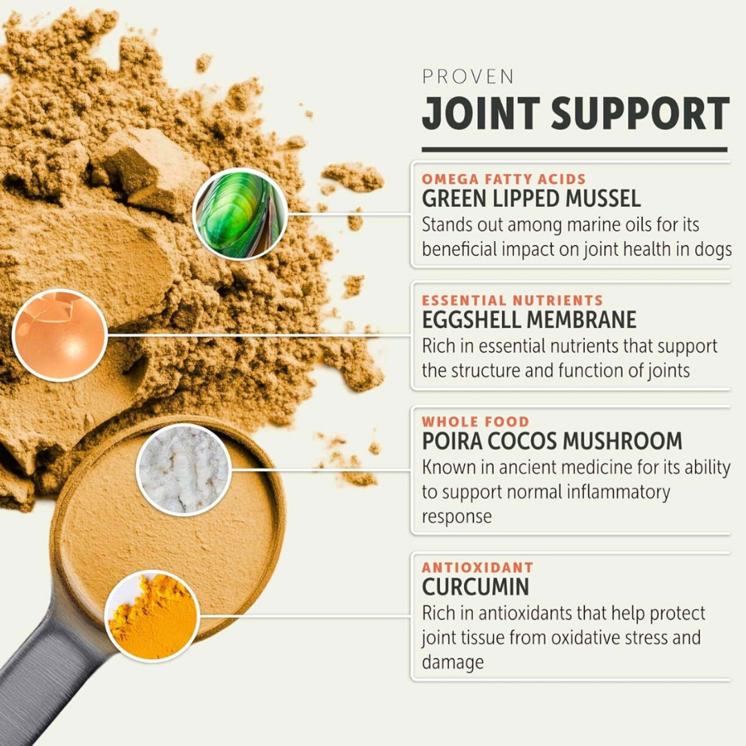 Four Leaf Rover Hip & Joint | Mobility + Joint Support
