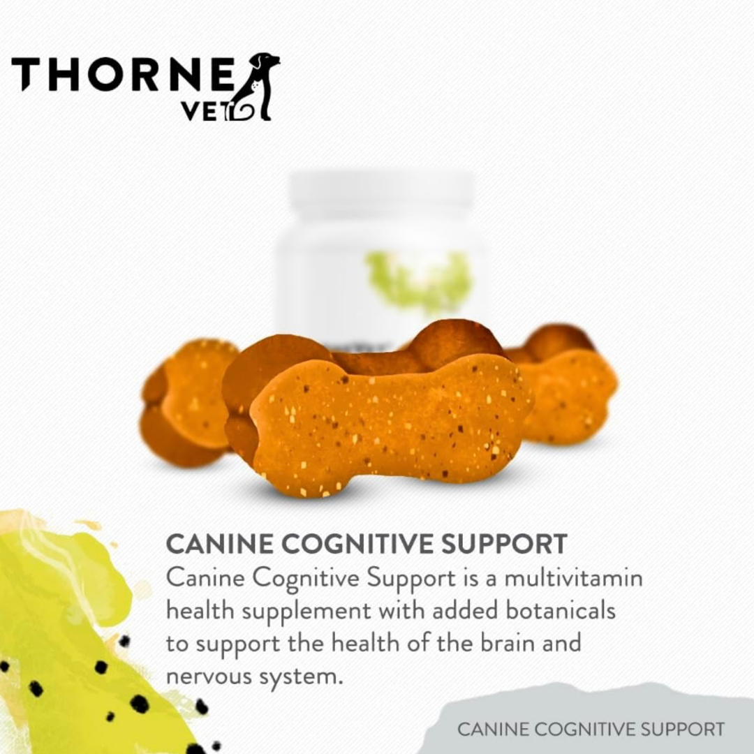 ThorneVet Canine Cognitive Support | Brain Health + Memory Support