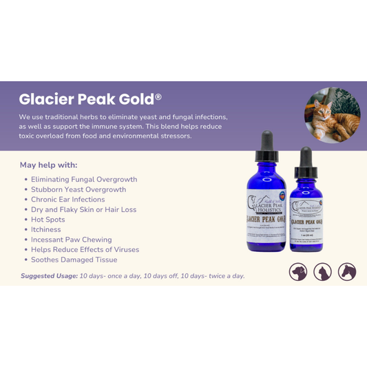 Glacier Peak Gold | Organic Herbal Yeast + Fungal Protocol Tincture