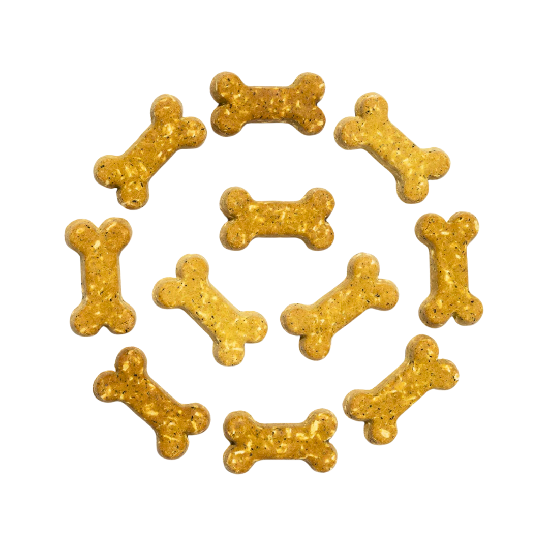 CocoTherapy Coco-Milk Bones | Carrot Cake