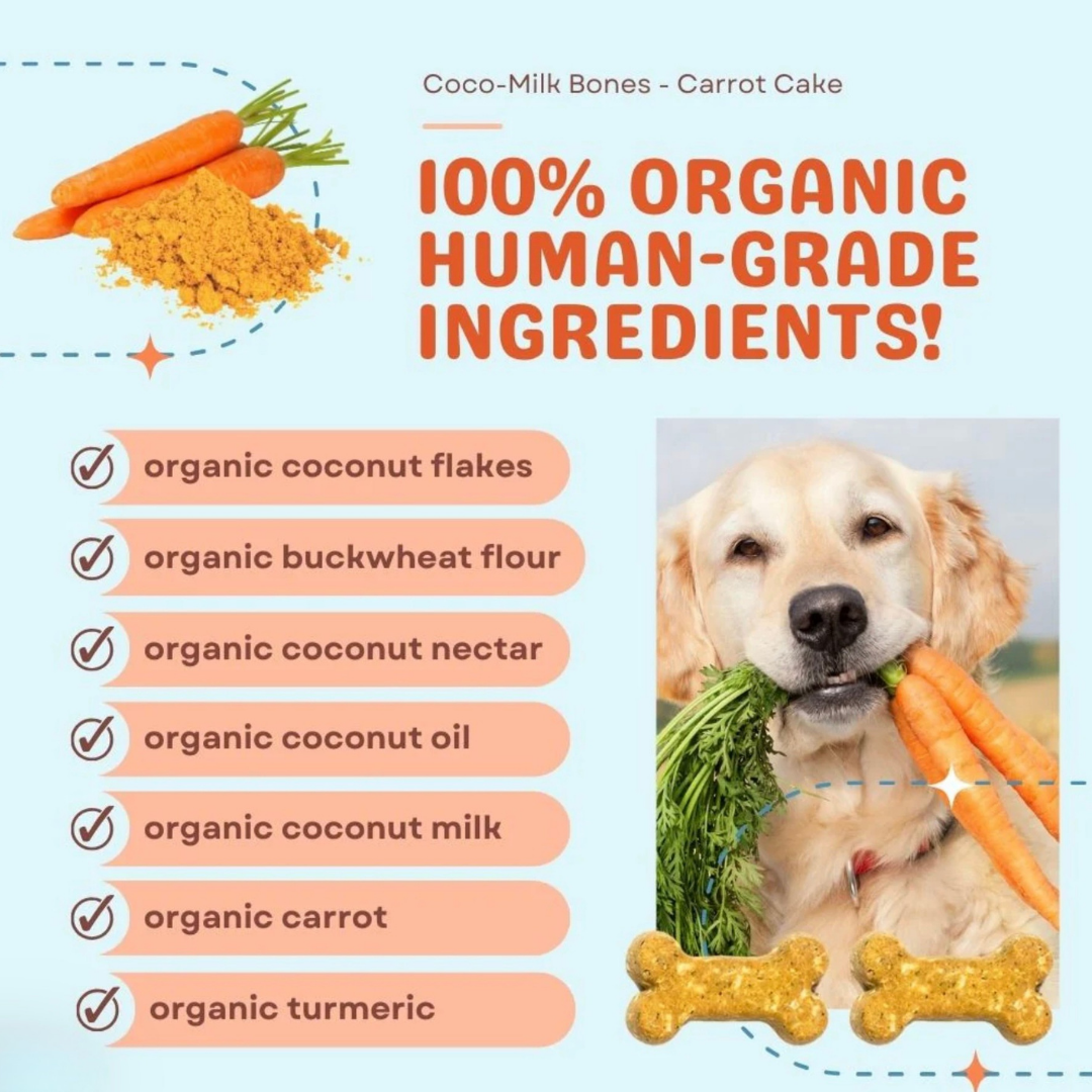 CocoTherapy Coco-Milk Bones | Carrot Cake