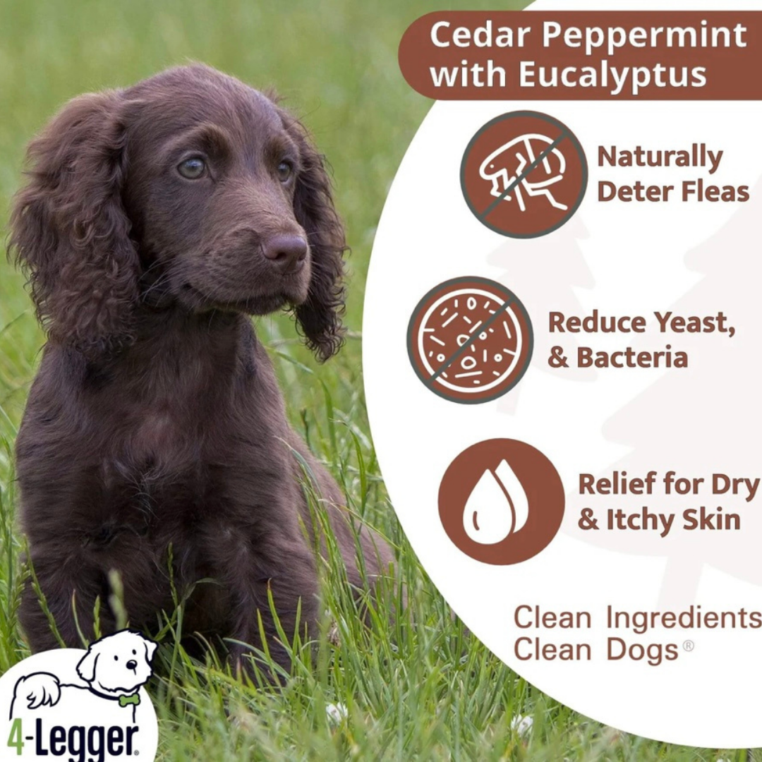 4-Legger Organic Conditioning Shampoo | Cedar + Peppermint + Eucalyptus