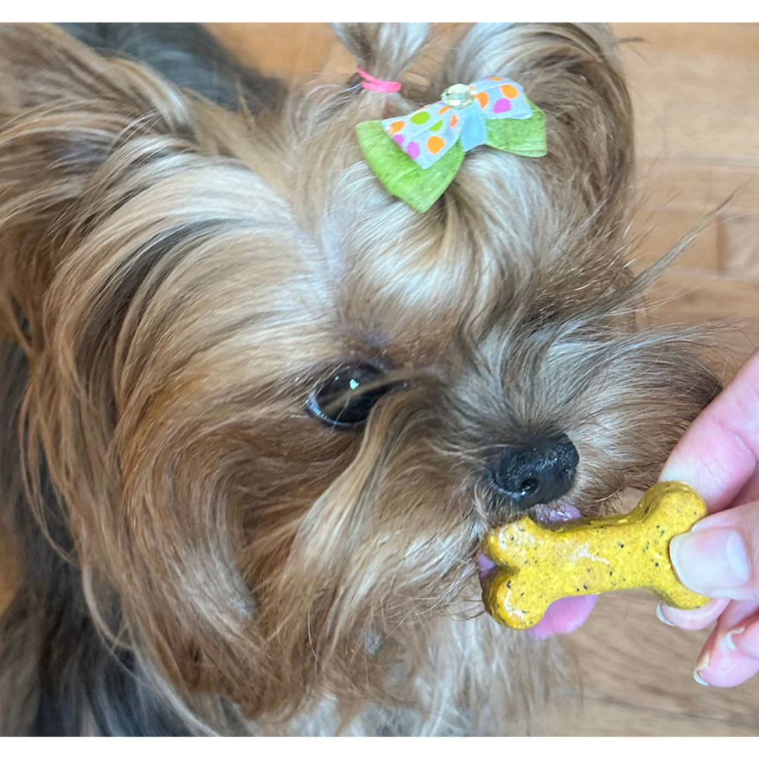 CocoTherapy Coco-Milk Bones | Carrot Cake