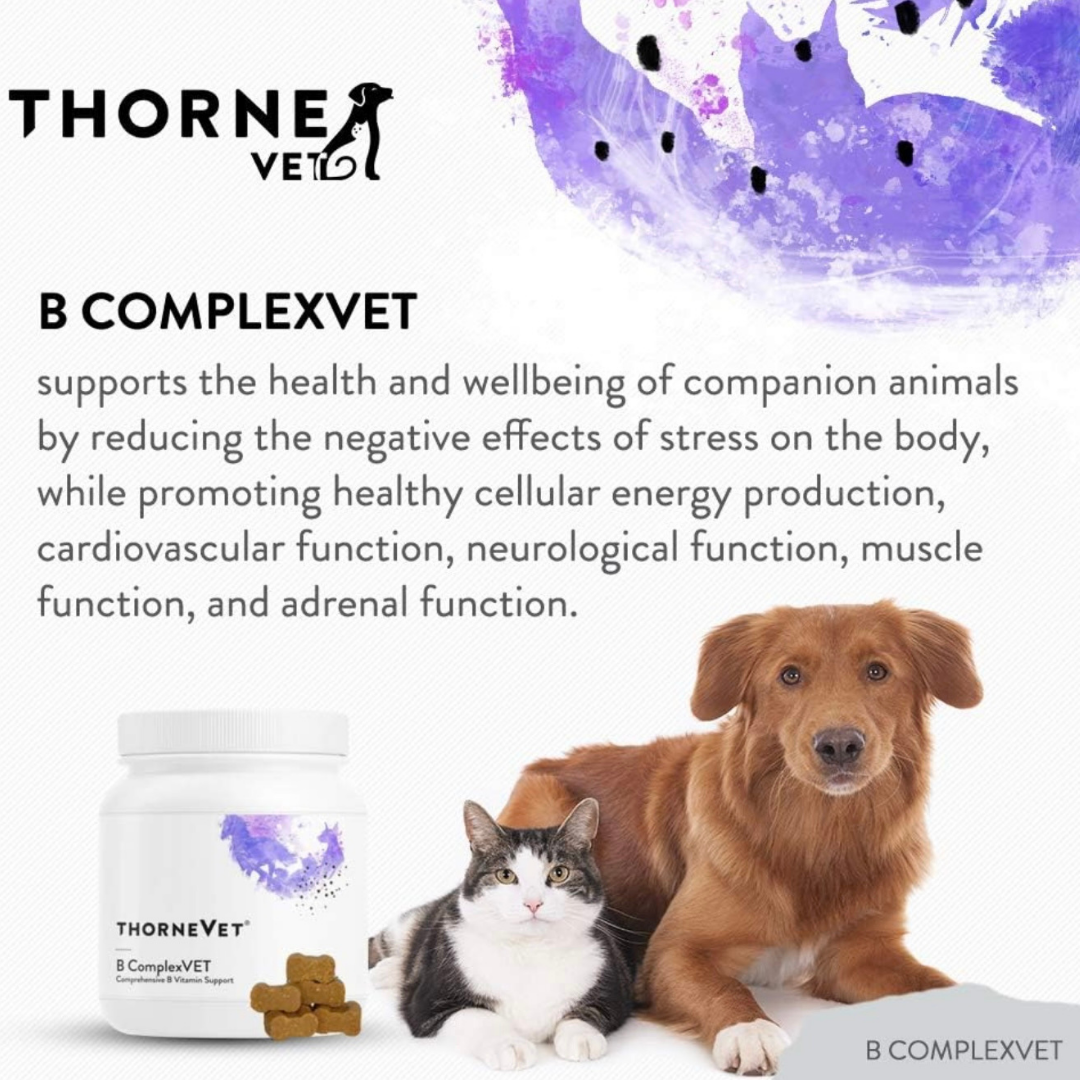 ThorneVet B-Complex Chews | Bioavailable B Vitamin Support