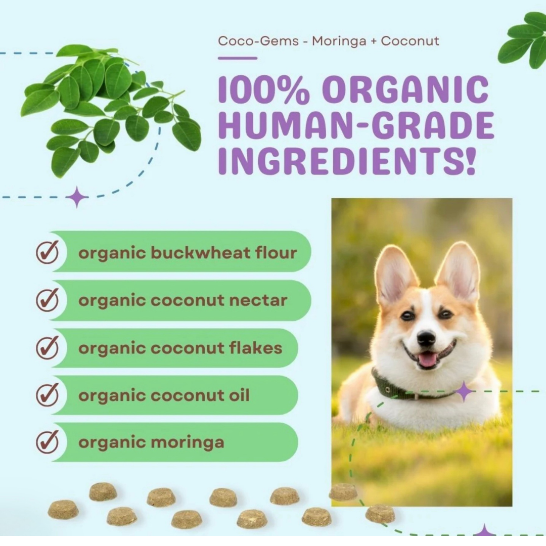 Cocotherapy Coco-Gems Training Treats | Moringa