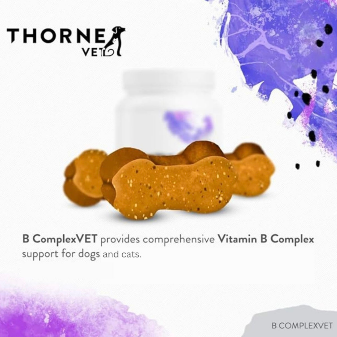 ThorneVet B-Complex Chews | Bioavailable B Vitamin Support