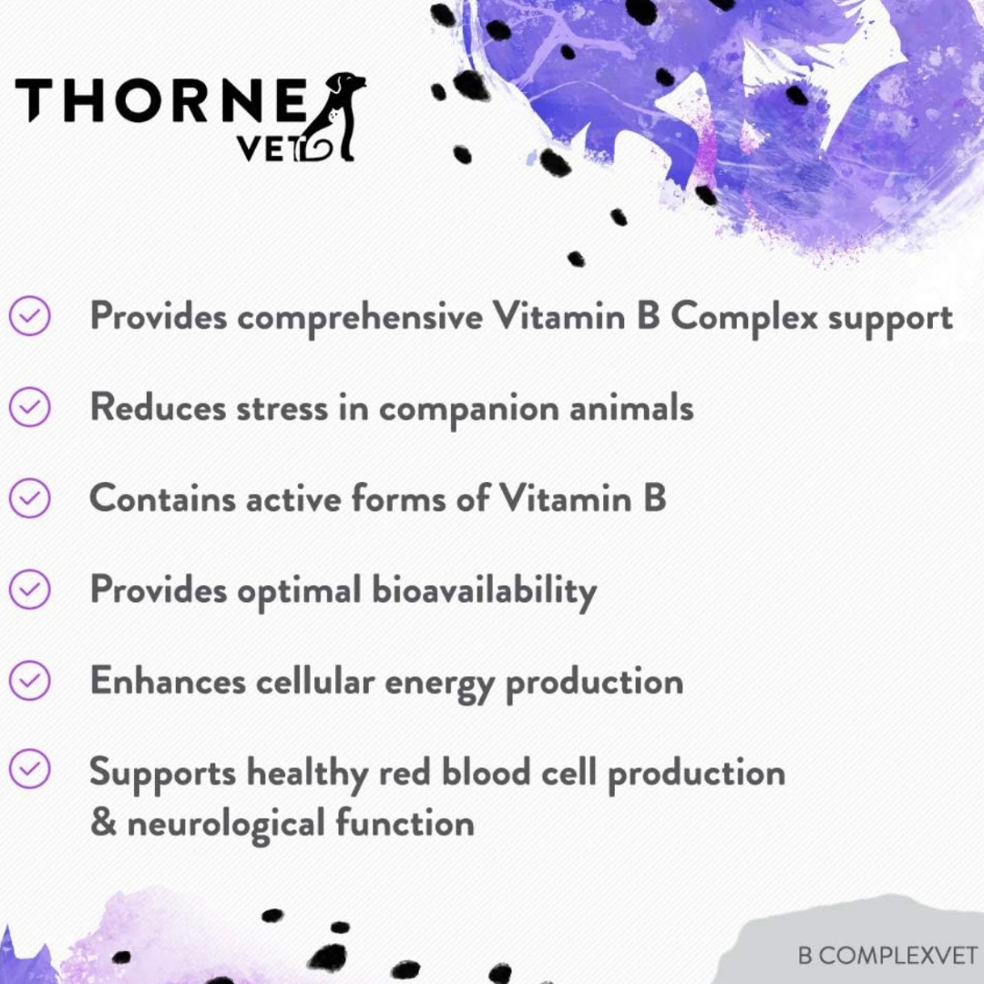 ThorneVet B-Complex Chews | Bioavailable B Vitamin Support
