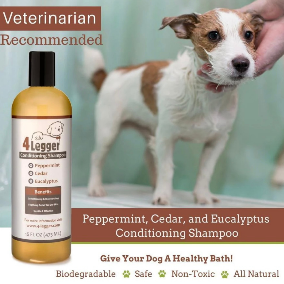 4-Legger Organic Conditioning Shampoo | Cedar + Peppermint + Eucalyptus