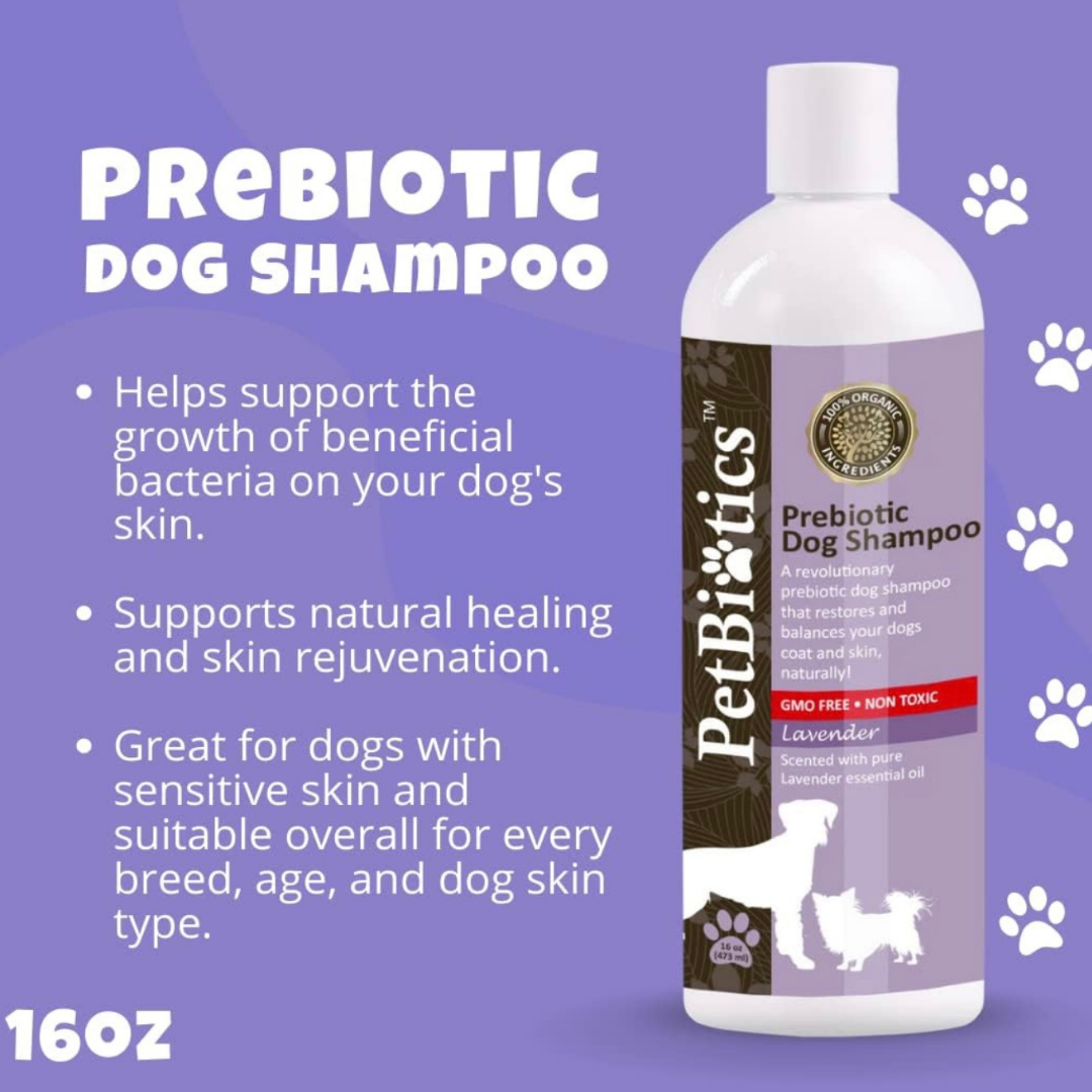 Aleavia Prebiotic Dog Shampoo | Lavender