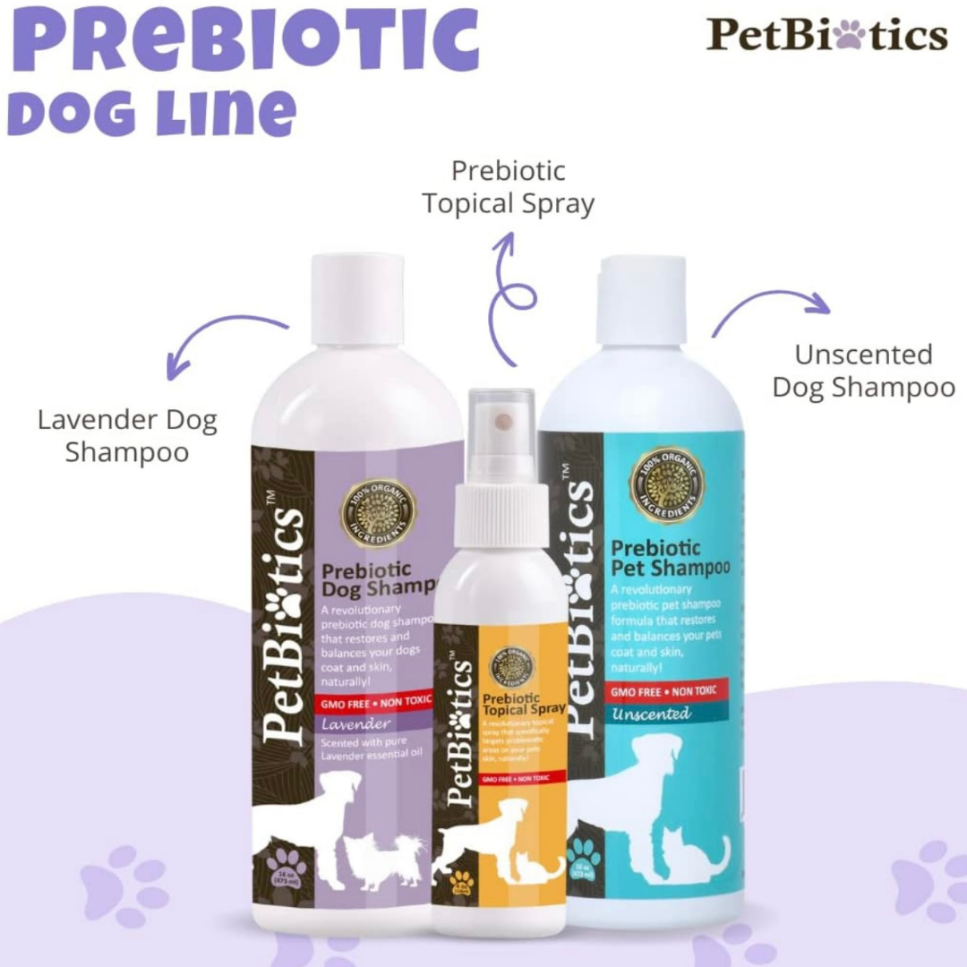 Aleavia Prebiotic Dog Shampoo | Lavender