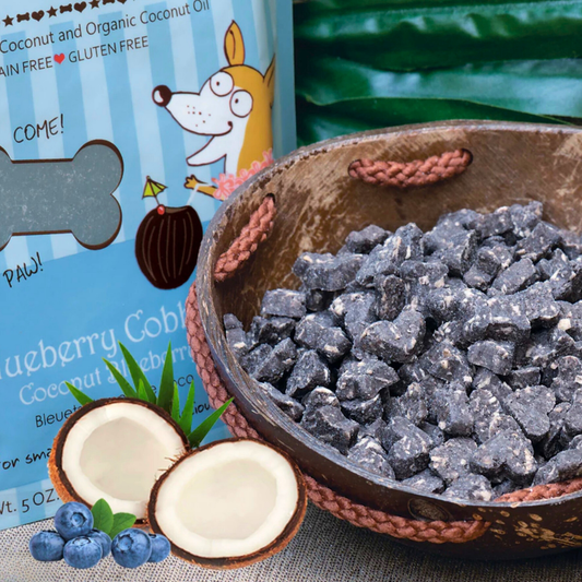 CocoTherapy Organic Coco-Charms | Blueberry Cobbler