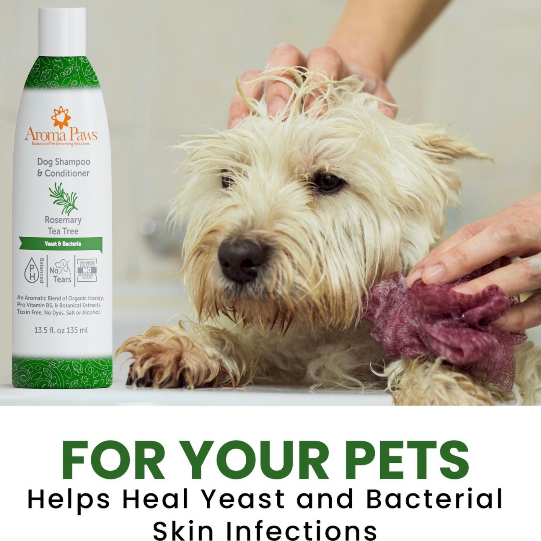 Aroma Paws Rosemary Tea Tree Shampoo | Yeast + Bacteria