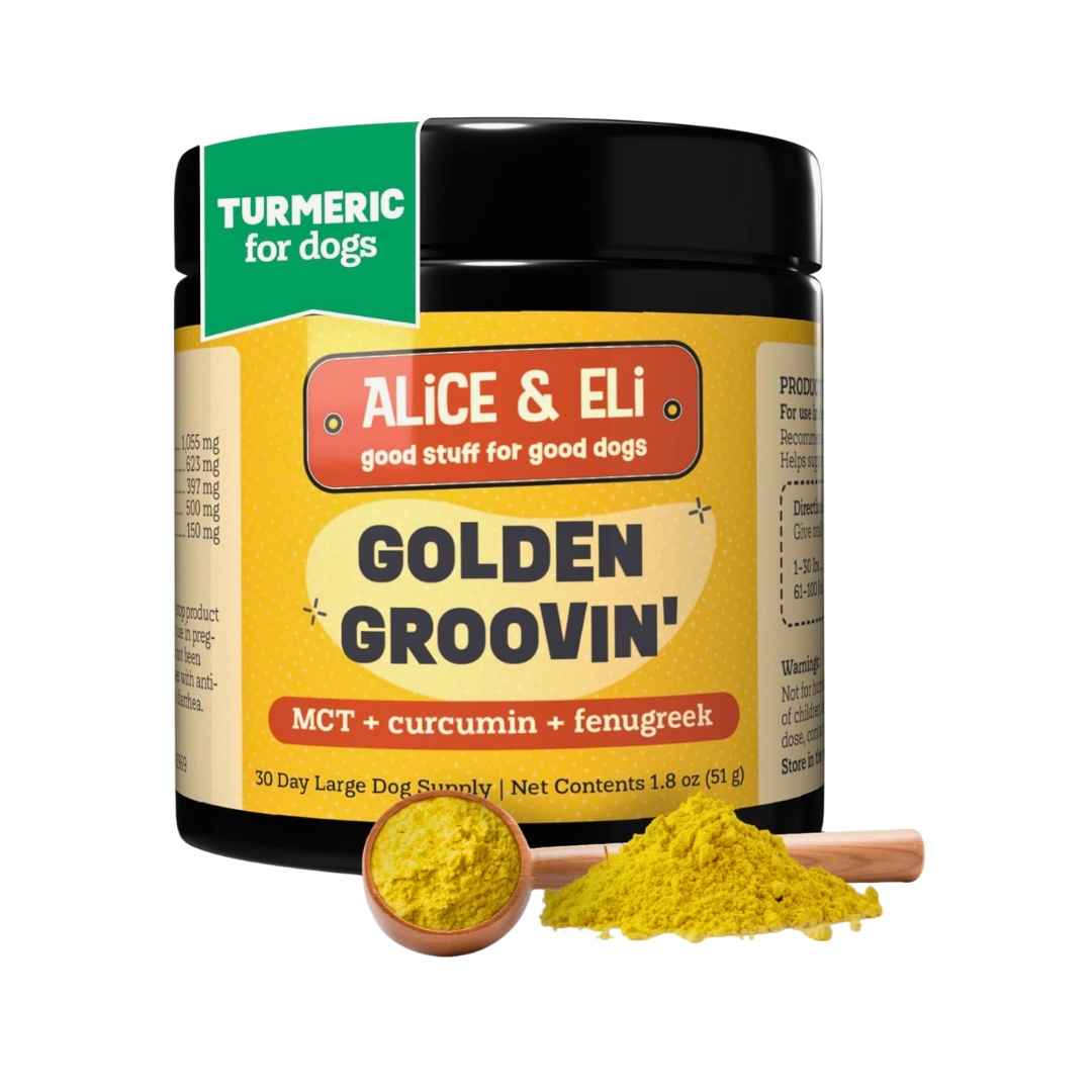 Alice & Eli Golden Groovin' | Joint + Mobility Support