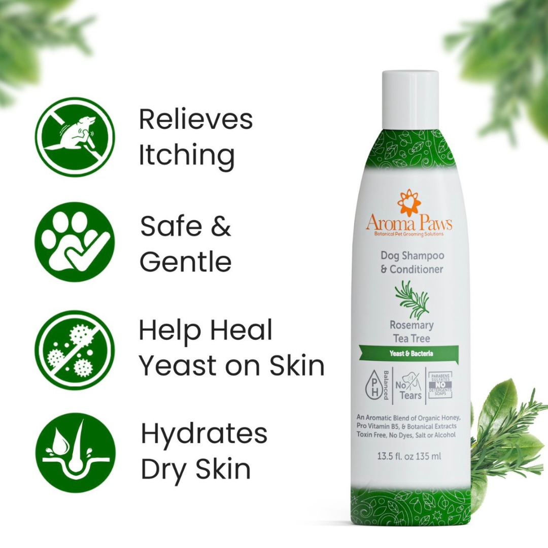 Aroma Paws Rosemary Tea Tree Shampoo | Yeast + Bacteria