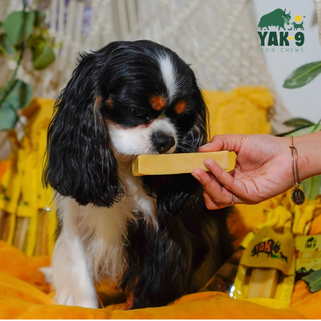 Yak9 Yak Chew | Honey