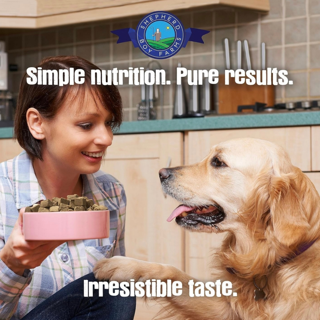 Shepherd Boy Farms Freeze-Dried Raw | Alligator